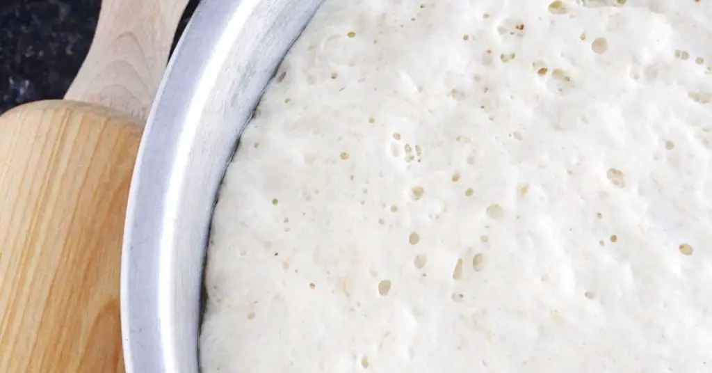 How Long Can Pizza Dough Sit Out Safely? My Tips for Perfectly Proofed Dough and Avoiding Spoilage 4 no knead pizza dough 1 How Long Can Pizza Dough Sit Out Safely? My Tips for Perfectly Proofed Dough and Avoiding Spoilage