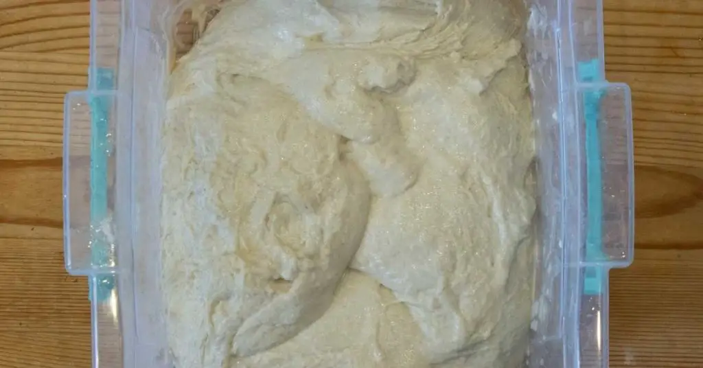 How to Make No-Knead Pizza Dough 5 no knead pizza dough 2 How to Make No-Knead Pizza Dough