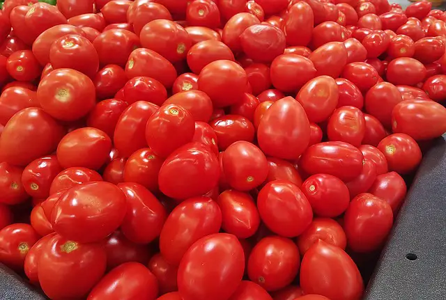 How To Make Pizza Sauce 3 roma tomatoes for pizza sauce recipe How To Make Pizza Sauce