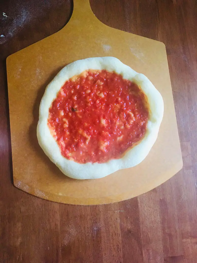 a pizza with only sauce