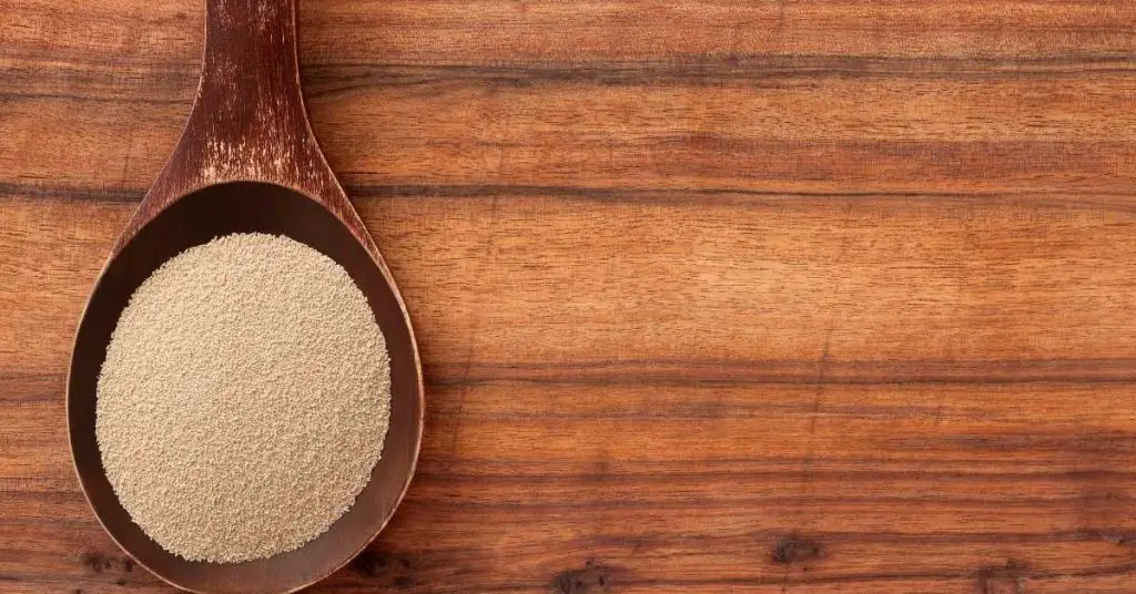 What Should Pizza Dough Look Like? How To Tell When It's Ready 19 pizza dough should look like 6 What Should Pizza Dough Look Like? How To Tell When It's Ready