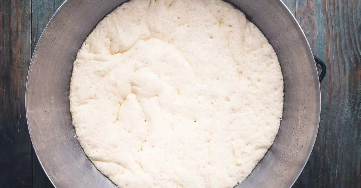 Why Your Pizza Dough Isn’t Rising The Top 7 Reasons Explained My