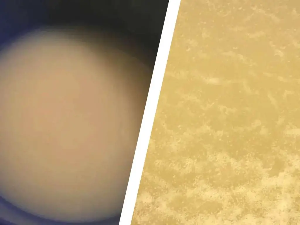 Why Is My Pizza Dough Not Rising? How To Make Pizza Dough Rise Every Time 3 A comparison of dead yeast on the left and frothy active yeast on the right.
