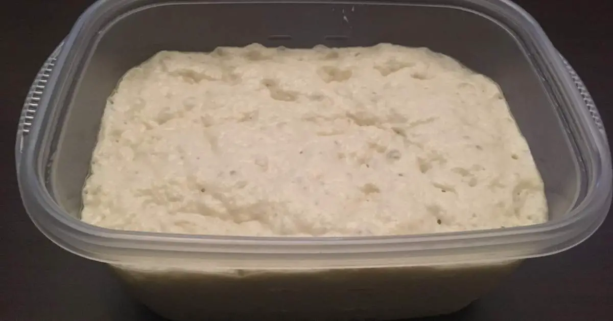 Domenic's Detroit Style Pizza Dough Recipe (no-knead) 1 pizza dough rising