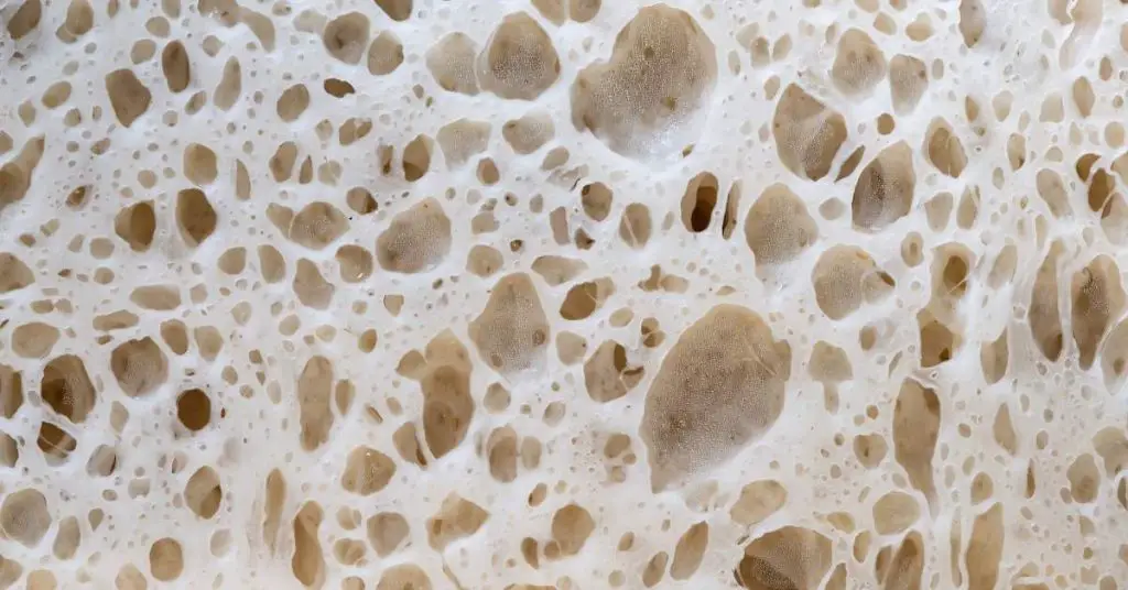 What Does Olive Oil Do To Pizza Dough? 3 why pizza dough rises 1 What Does Olive Oil Do To Pizza Dough?