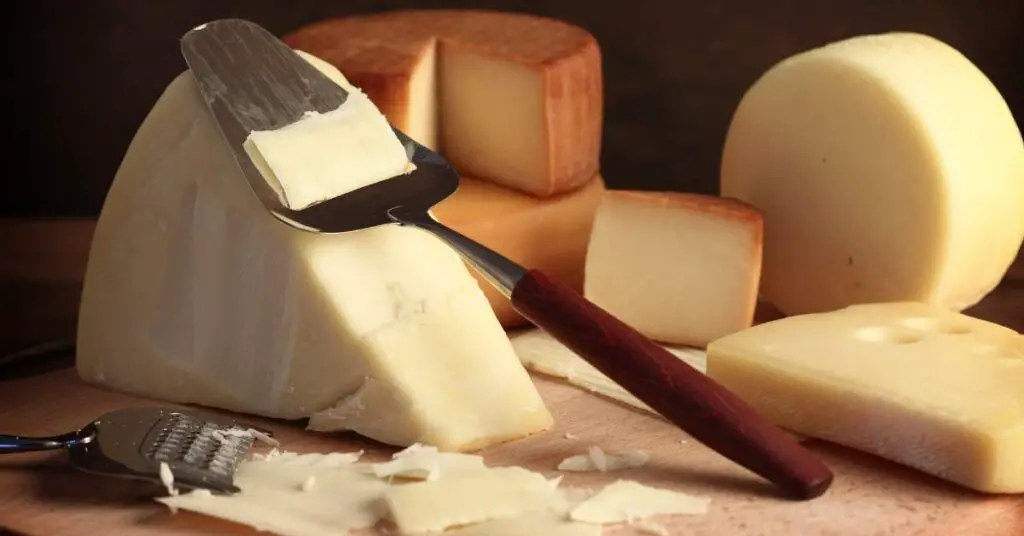 Best Mozzarella Substitute For Pizza 2 best mozzarella substitute 2 Best Mozzarella Substitute For Pizza