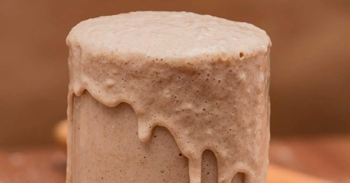 Why Does My Pizza Dough Smell Like Alcohol? My House Of Pizza