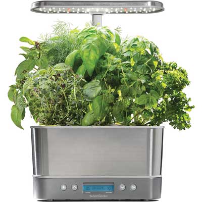 basil oregano herb growing kit What You Need To Make Pizza At Home - Pizza Making Buyer's Guide