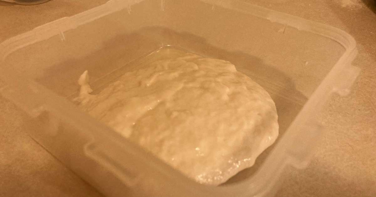 Poolish Pizza Dough Recipe (Perfect Crust Super Easy) My House of Home Oven Pizza