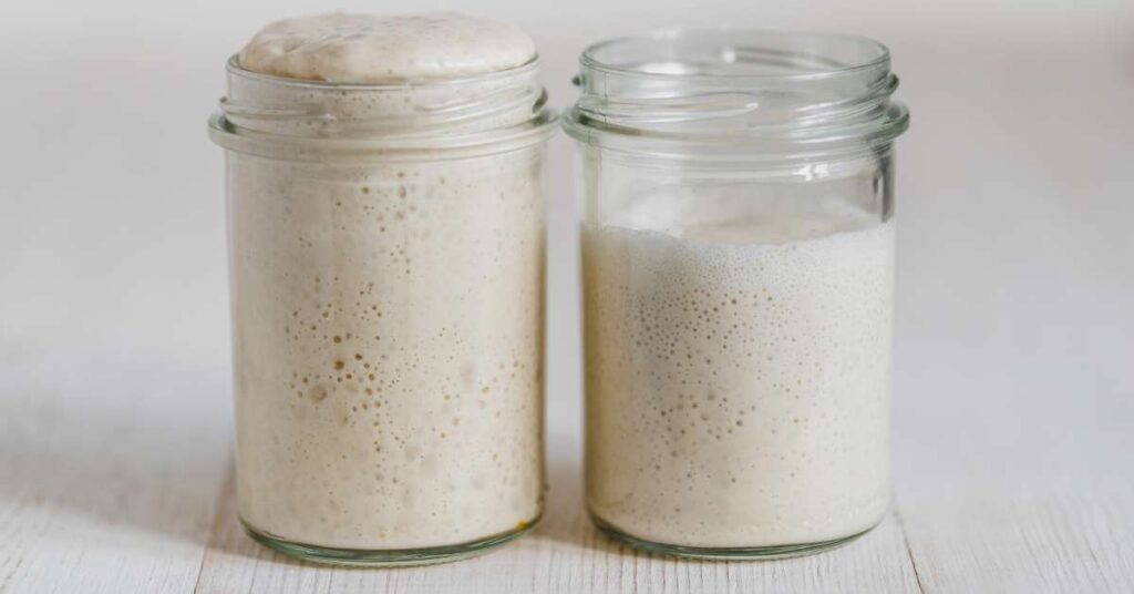 poolish pizza dough preferment 