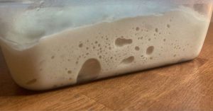 Fermented overnight pizza dough with large air bubbles.