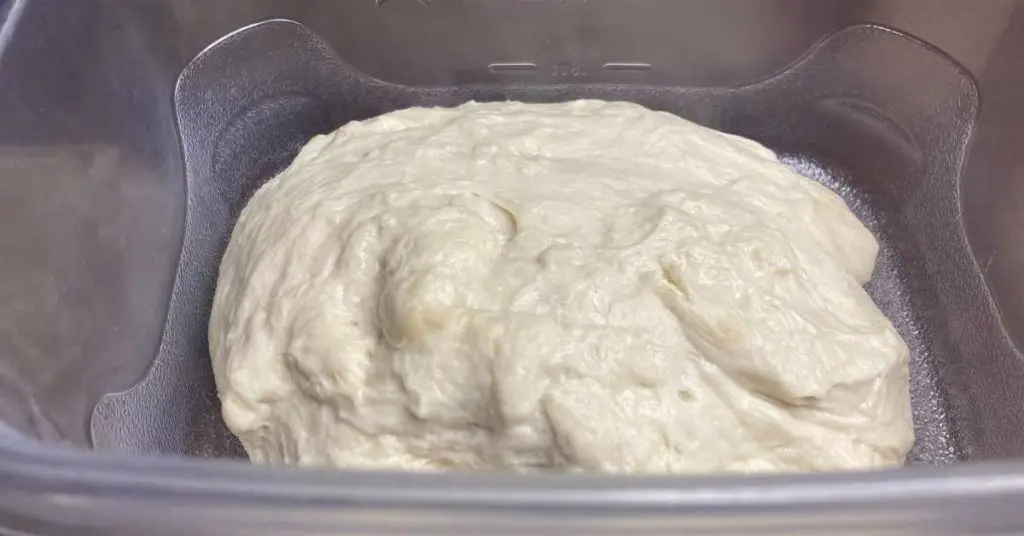 homemade pizza ready for fermenting in a clear plastic container