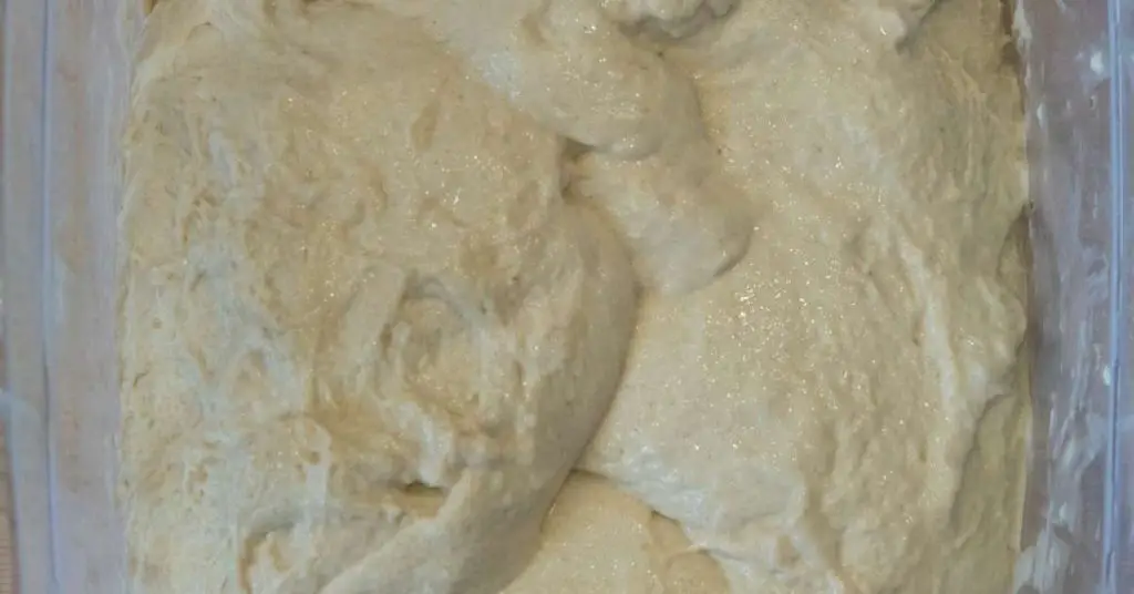 How Long Can Pizza Dough Sit Out Safely? My Tips for Perfectly Proofed Dough and Avoiding Spoilage 6 cold fermented dough How Long Can Pizza Dough Sit Out Safely? My Tips for Perfectly Proofed Dough and Avoiding Spoilage