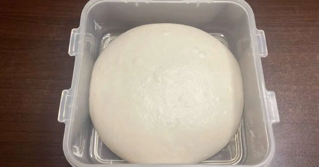 a proofed pizza dough ball in a plastic proofing container