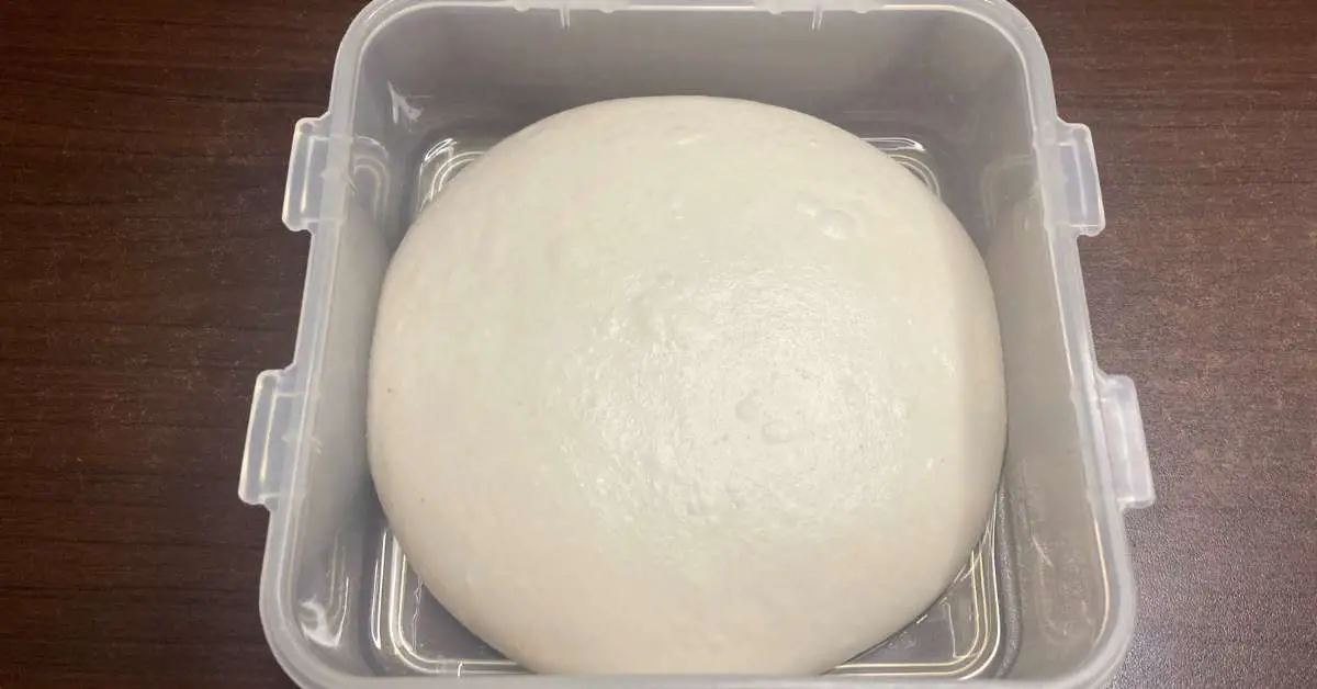 How To Proof Pizza Dough Complete Tutorial To Balling And Proofing