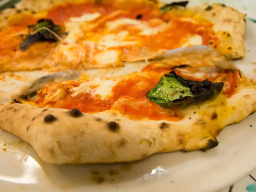 A slice of Neapolitan style pizza showing the char marks ont he crust.