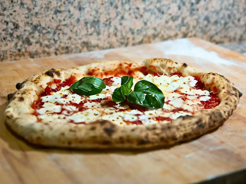 A neapolitan pizza cooked in the Bertello Grande 16 on the counter of our test kitchen.